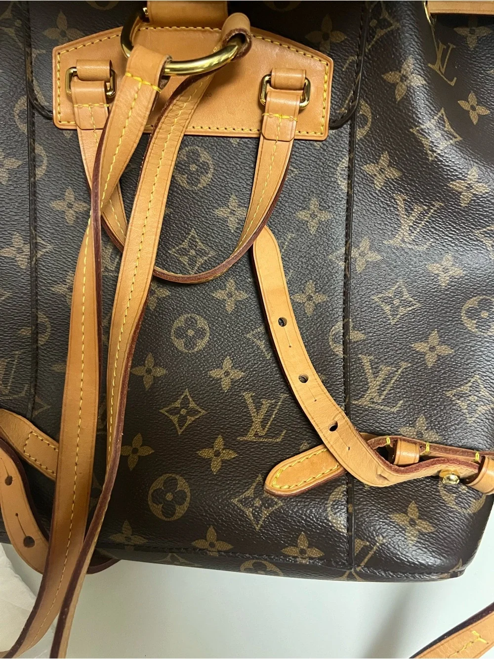 Louis Vuitton signature louis
